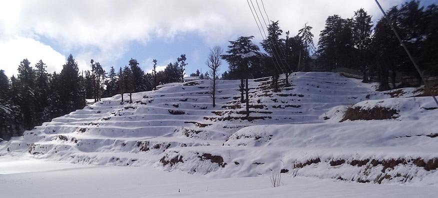 Snowfall in Tirthan Valley