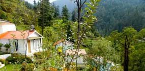 MAKE YOUR HOLIDAYS UNIQUE WITH HOMESTAY EXPERIENCE IN TIRTHAN VALLEY