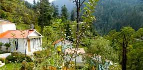 homestay in tirthan valley