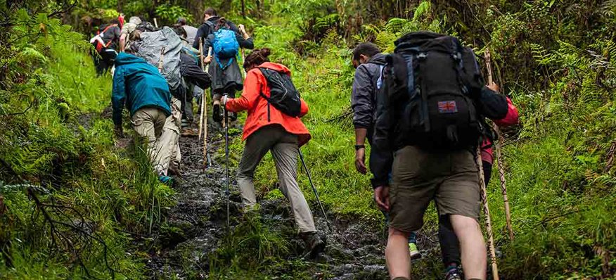 Trekking things to do in Shangarh